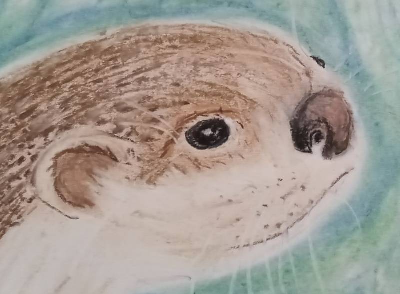 otter by yogidoodledandy (Soft pastel)