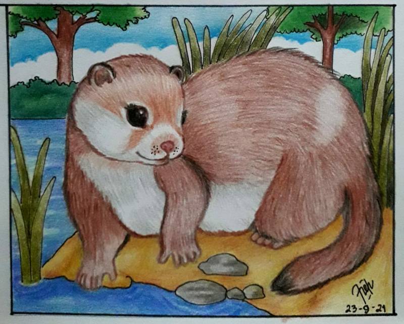otter by Vincencia_Robin (Pencil, Pen, Colored pencil)