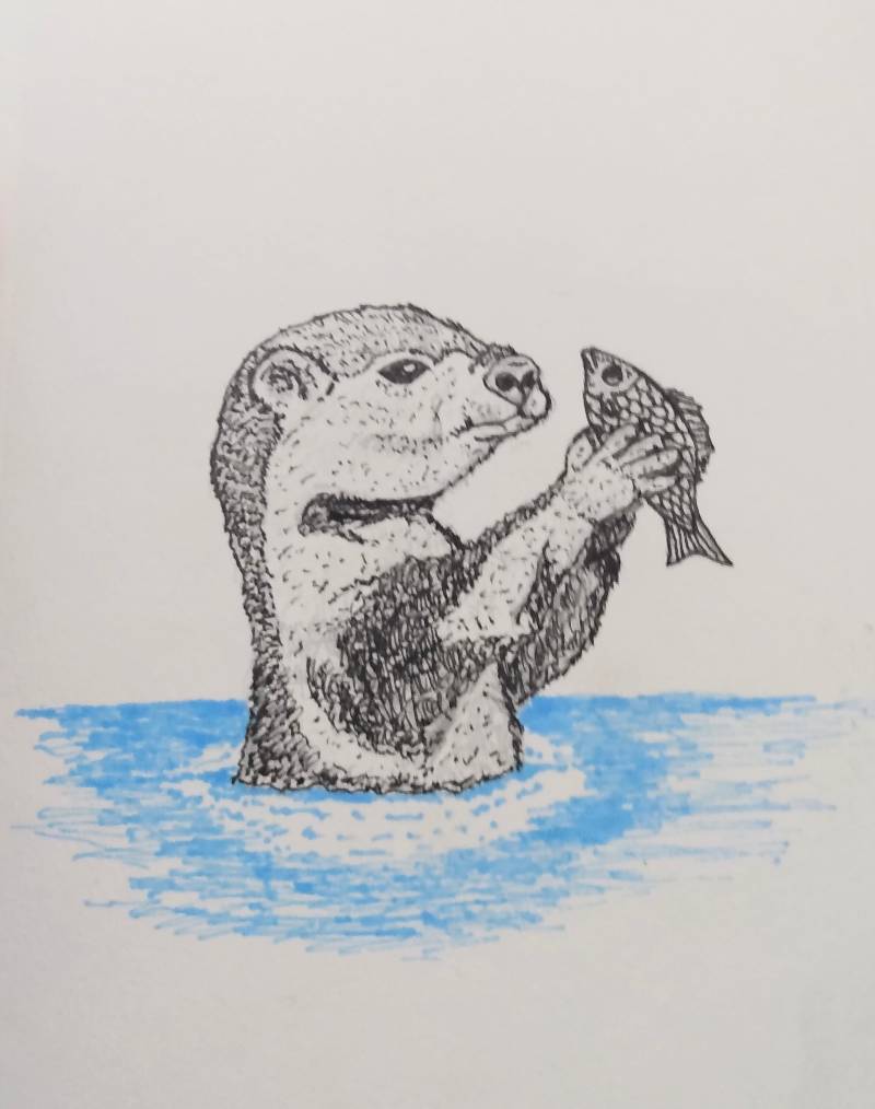 otter by Bigblue1174 (Pen, Markers, Ink)