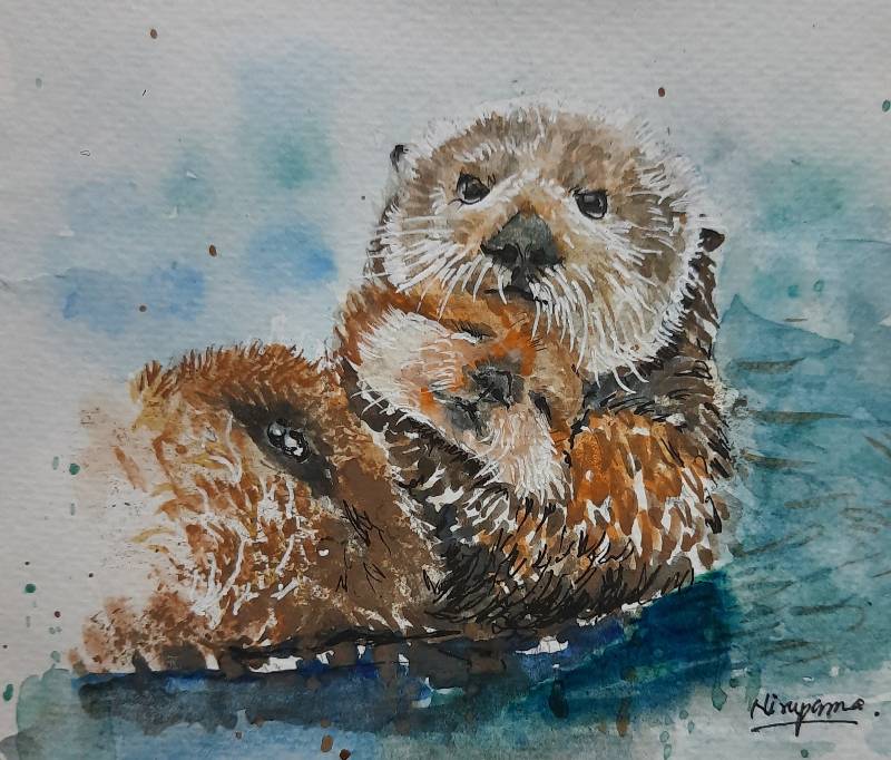 otter by Niru (Watercolor, Pen)