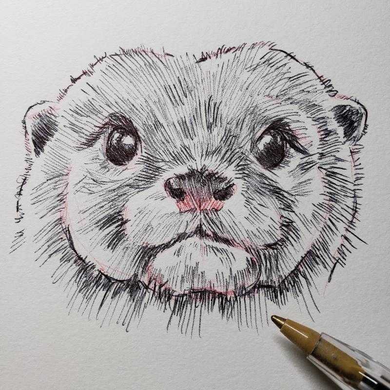 otter by chibicornet (Ink, Pen)