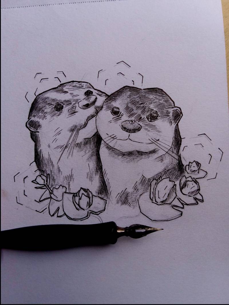 otter by mikrook (Ink, Pencil)