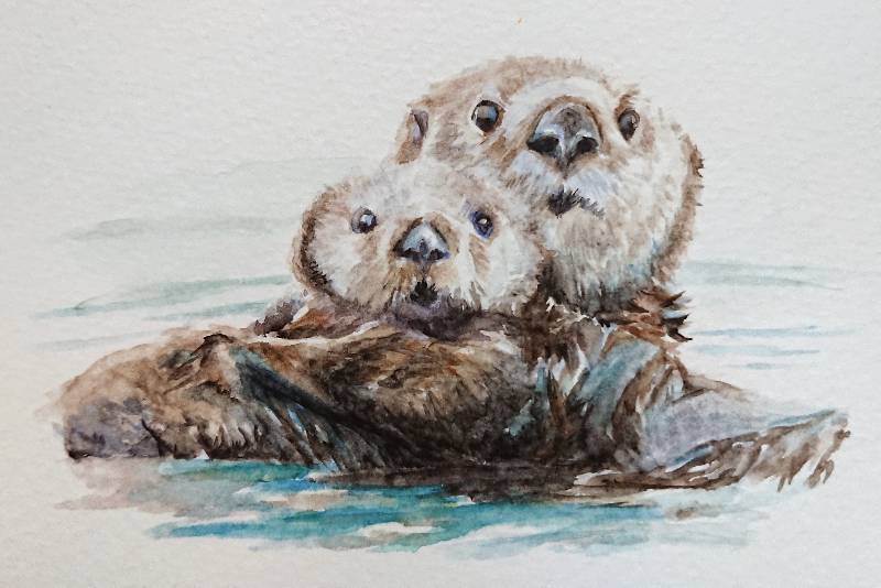 otter by meidraws (Watercolor)