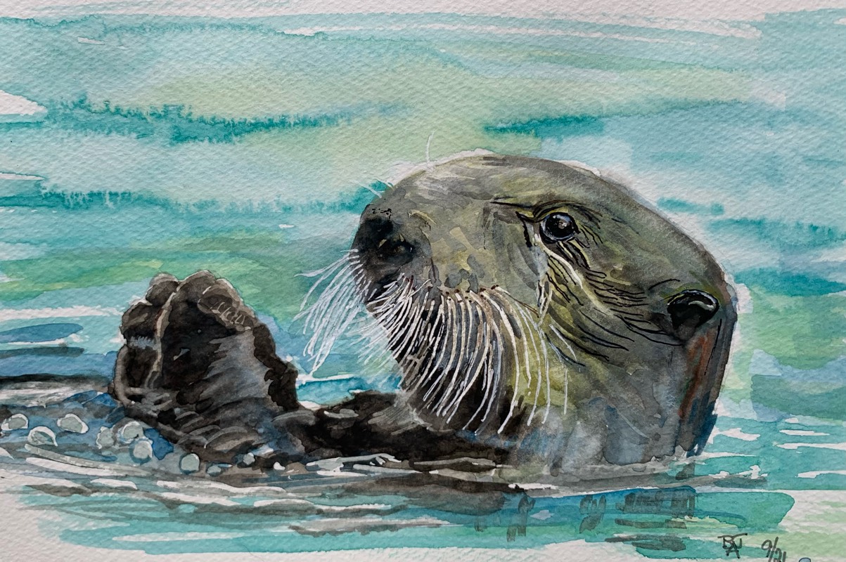 otter by fairlawnbj (Watercolor, Pen)