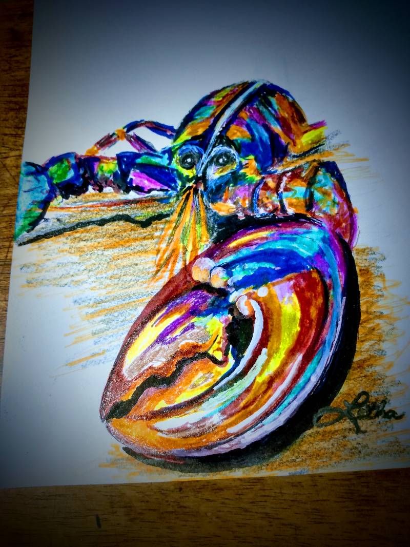 lobster by letha (Pen, Ink, Markers)