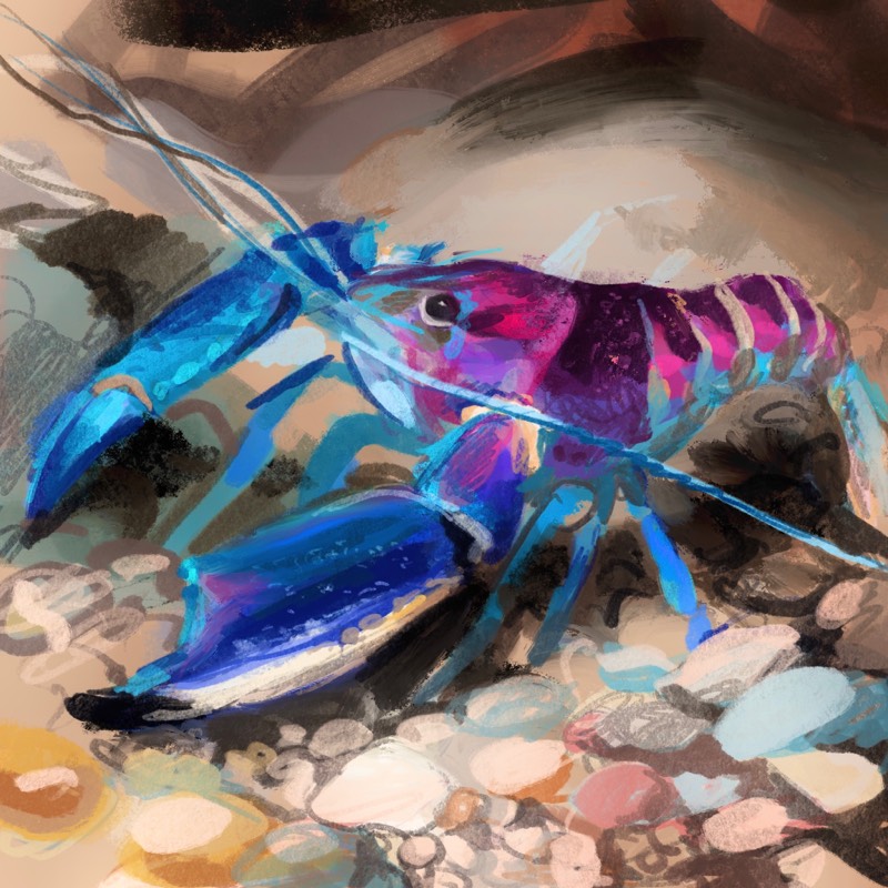 lobster by aloc (Digital)