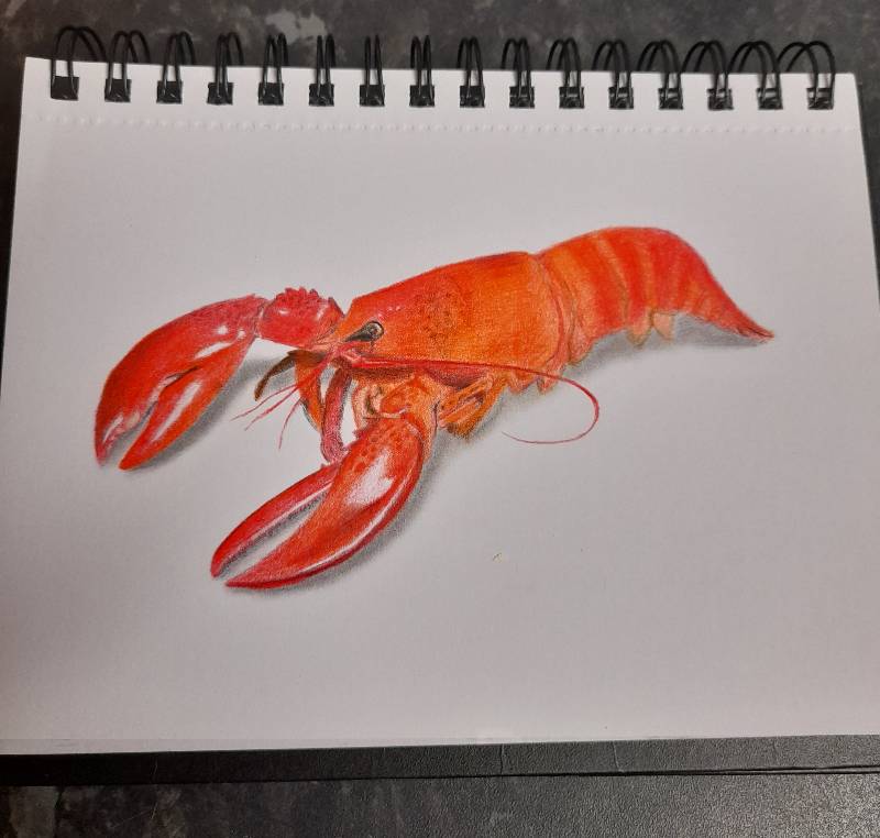 lobster by LearningLoadingStandBy_ (Pencil, Colored pencil)