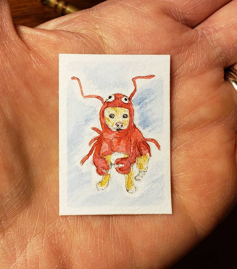 lobster by sp3c14Lk (Watercolor, Ink)
