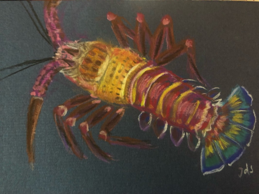 lobster by nien (Soft pastel)