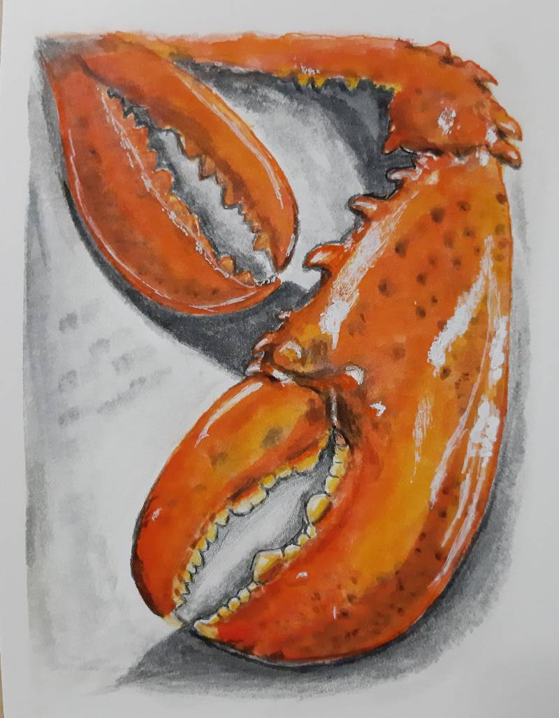 lobster by sumelin (Watercolor, Colored pencil)