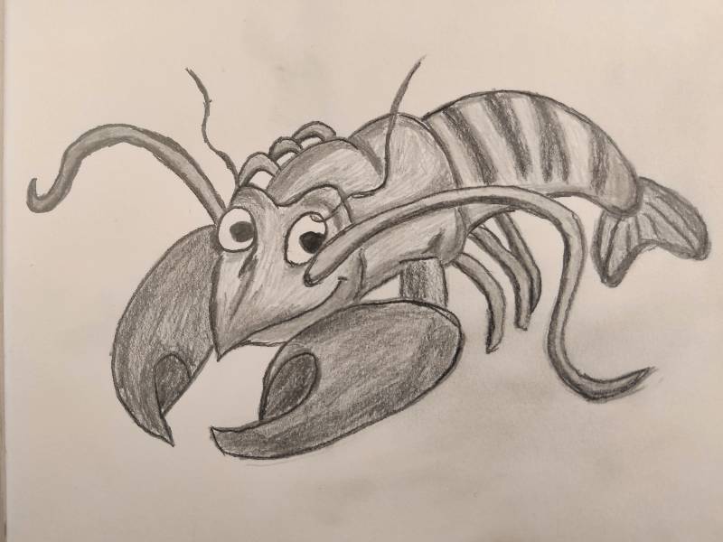 lobster by Membrant (Pencil)