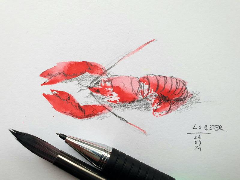 lobster by kar (Watercolor, Pencil)