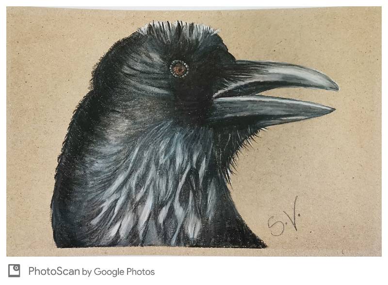 raven by ShelleyV (Oil pastel)