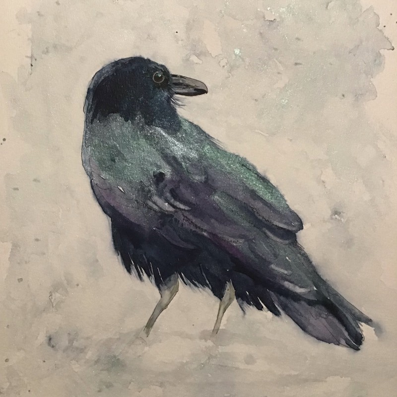 raven by Sally (Watercolor)