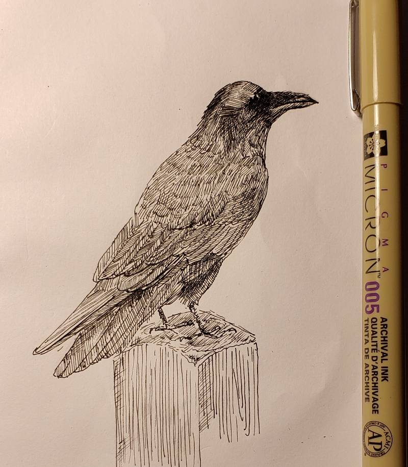raven by sp3c14Lk (Ink)