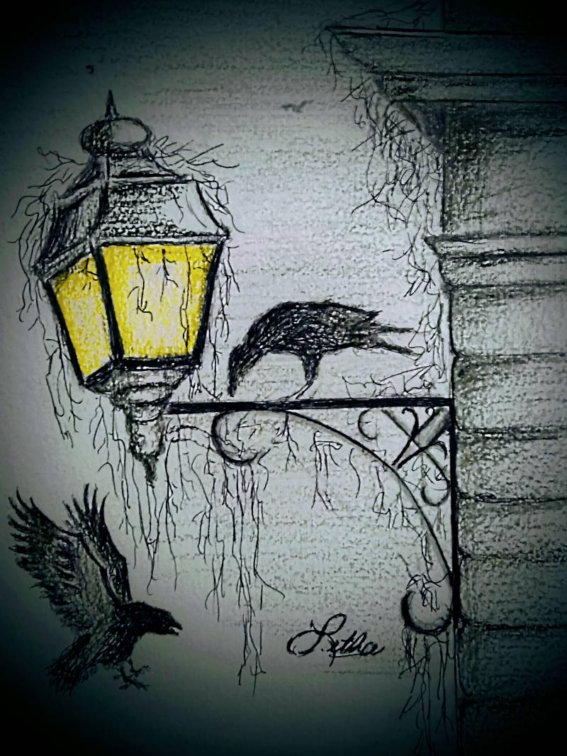 raven by letha (Pencil, Pen, Colored pencil)