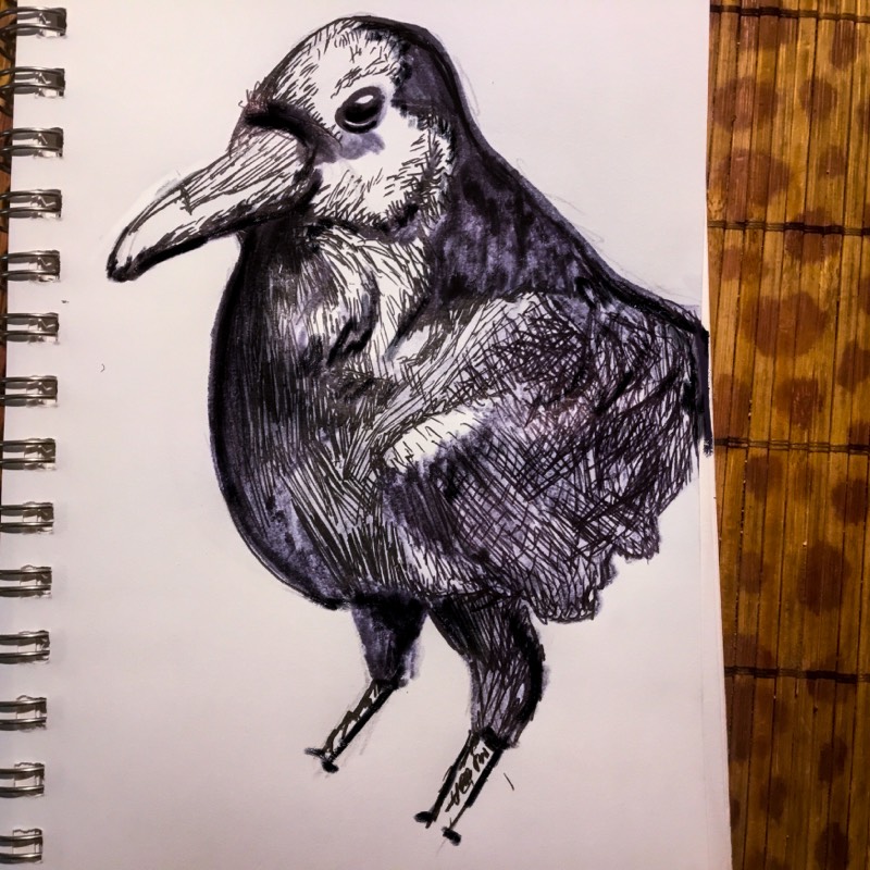 raven by TheHunterCow (Pen, Markers)