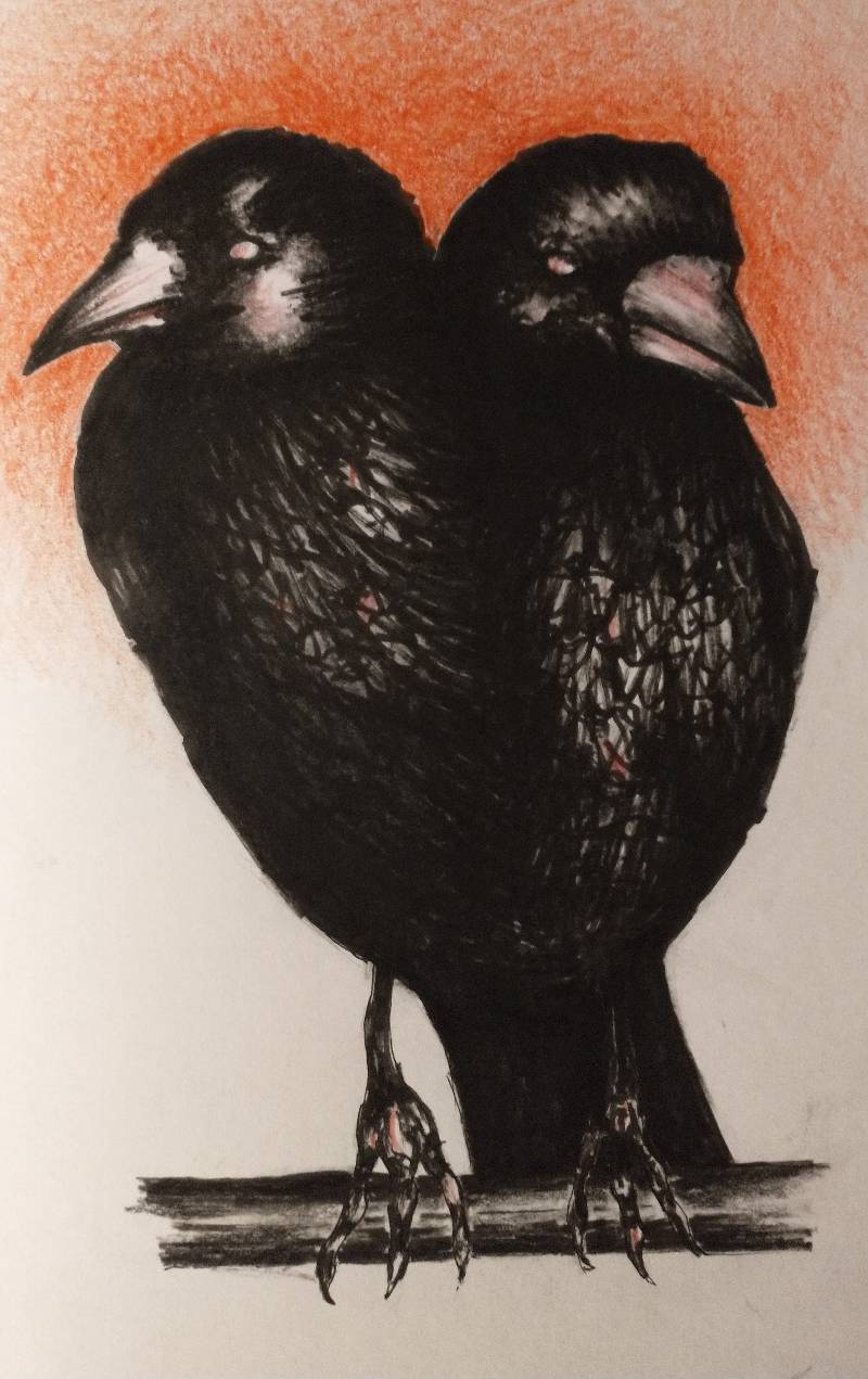 raven by HighPlainsGrifter (Pen, Markers, Soft pastel)