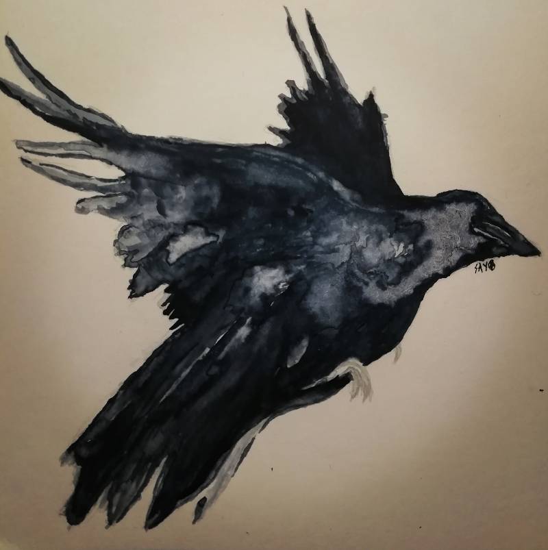 raven by SayoCaro1 (Watercolor)