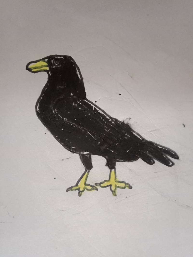 raven by anirudh_atharva28 (Pencil, Markers, Oil pastel)