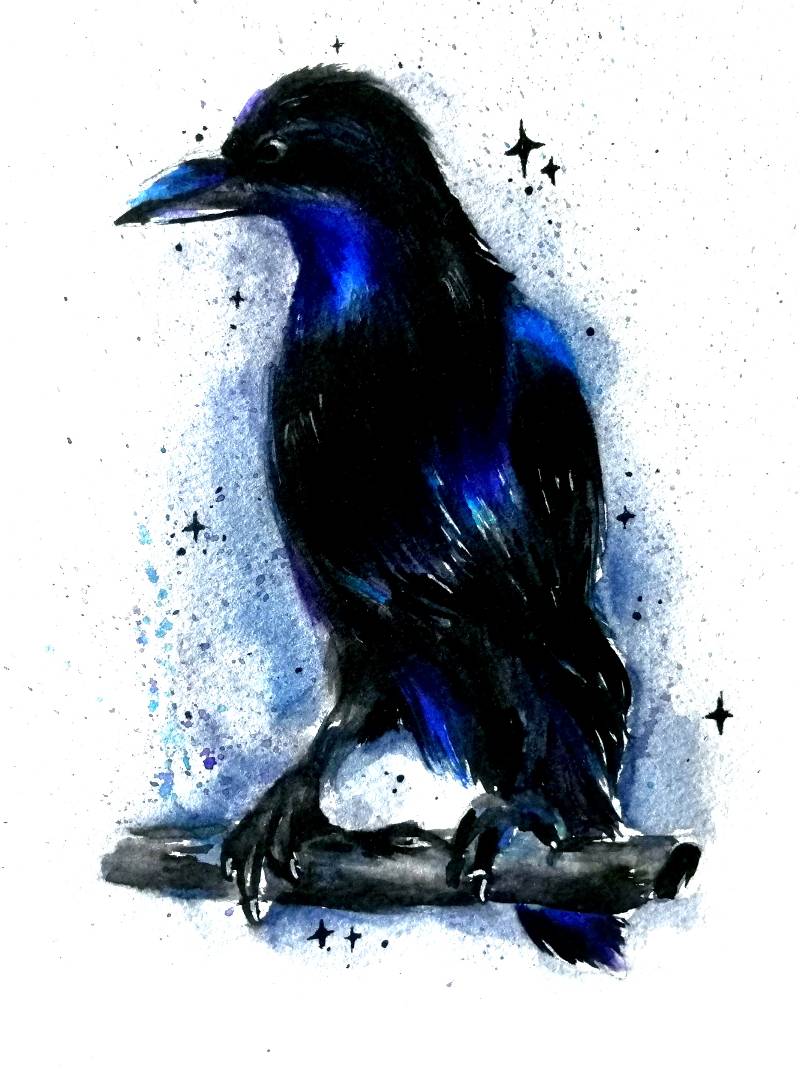 raven by Watercolor_Puppy_ (Watercolor, Ink)
