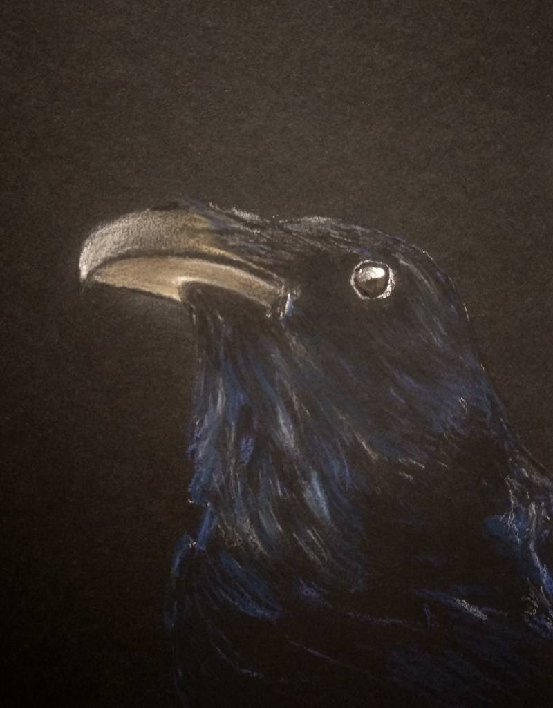 raven by DianDian (Charcoal, Soft pastel)