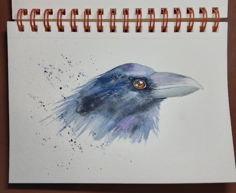raven by JB___ (Watercolor)