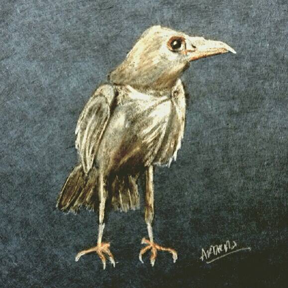 raven by Arthur (Colored pencil)