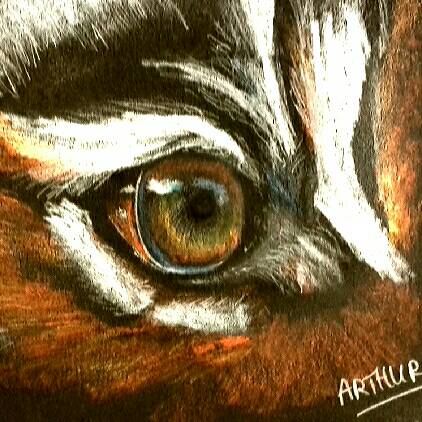 tiger by Arthur (Colored pencil)