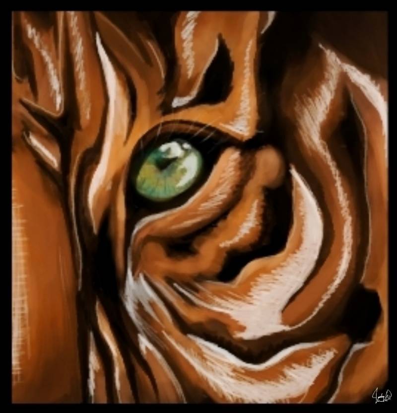 tiger by WJudyW (Watercolor, Ink, Markers, Pen, Digital, Oil pastel)