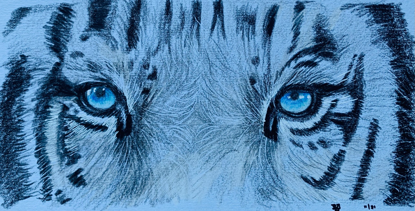 tiger by fairlawnbj (Colored pencil)