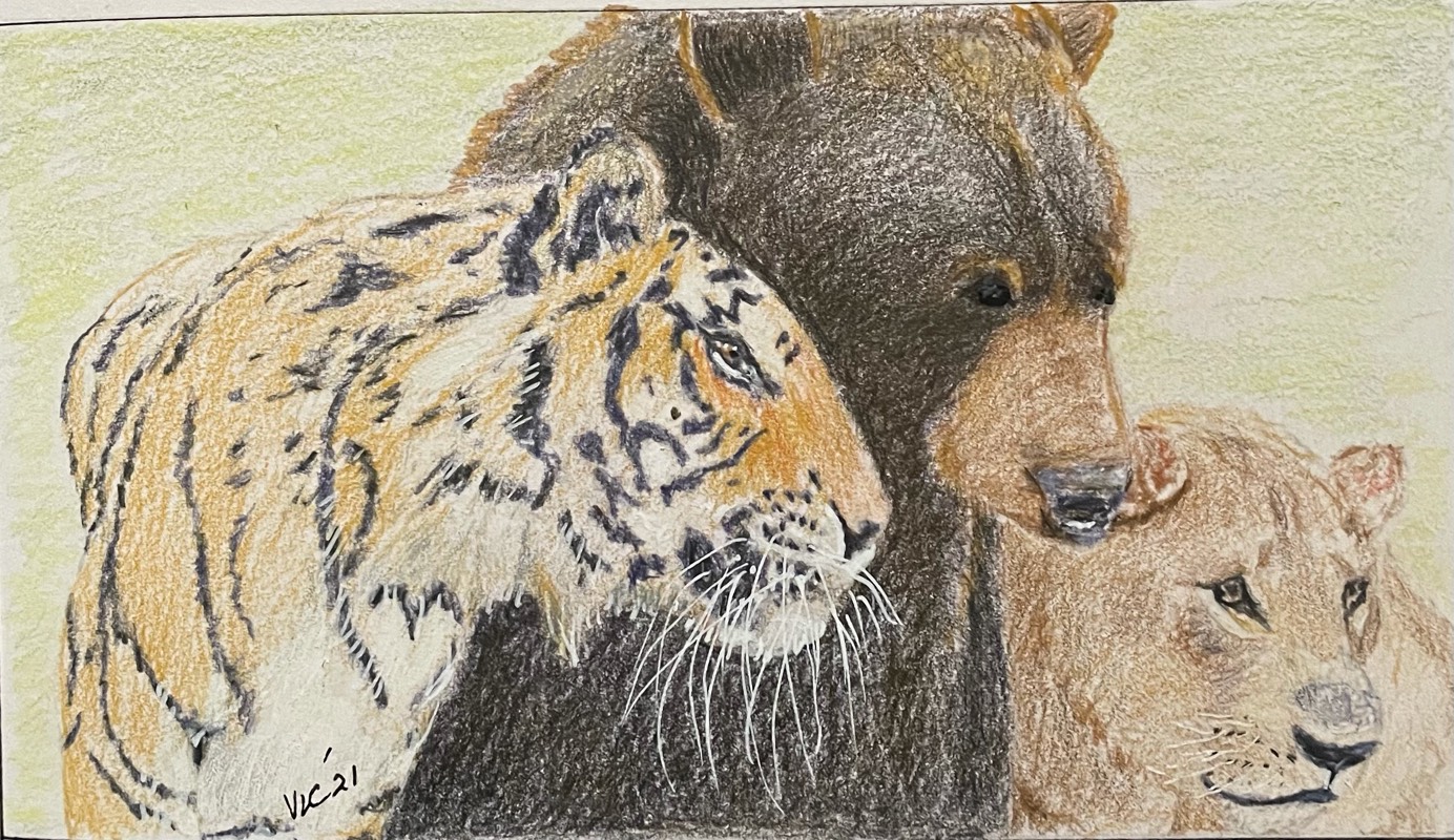tiger by Songli5 (Ink, Colored pencil)