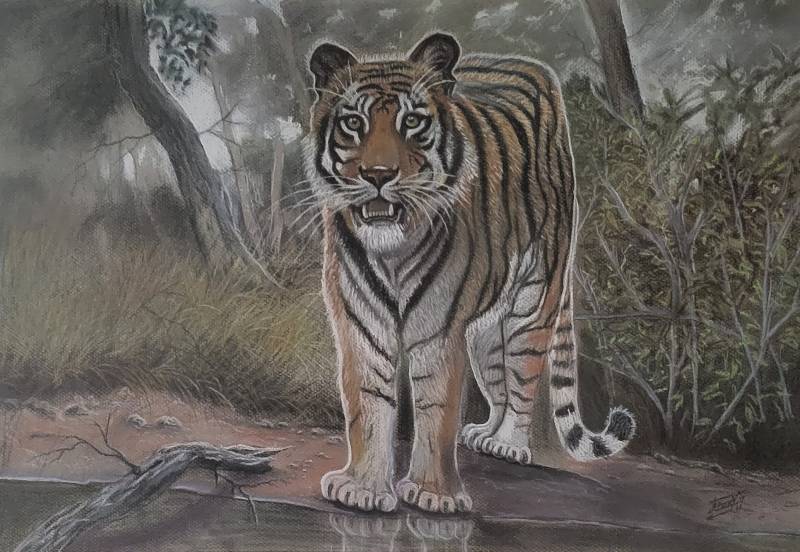 tiger by alday958 (Soft pastel)
