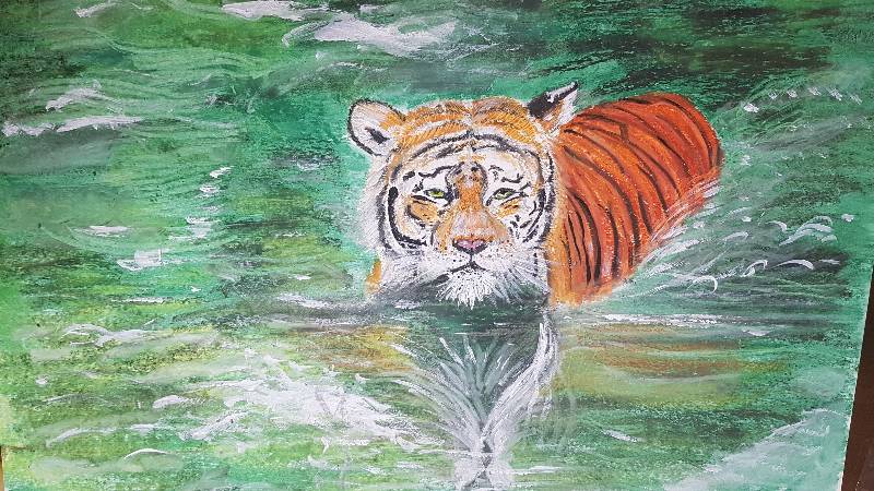 tiger by Nancat (Pencil, Oil pastel, Acrylic paint)