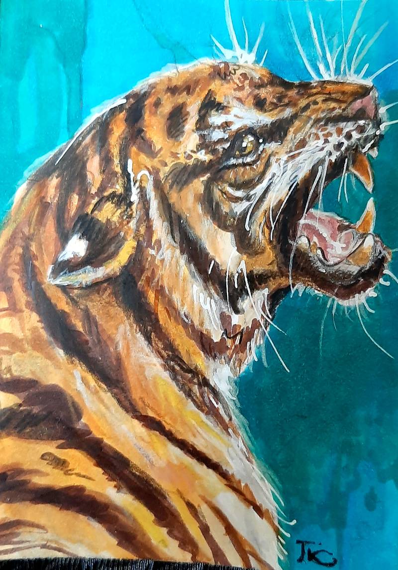 tiger by tamileexyz (Markers, Colored pencil)