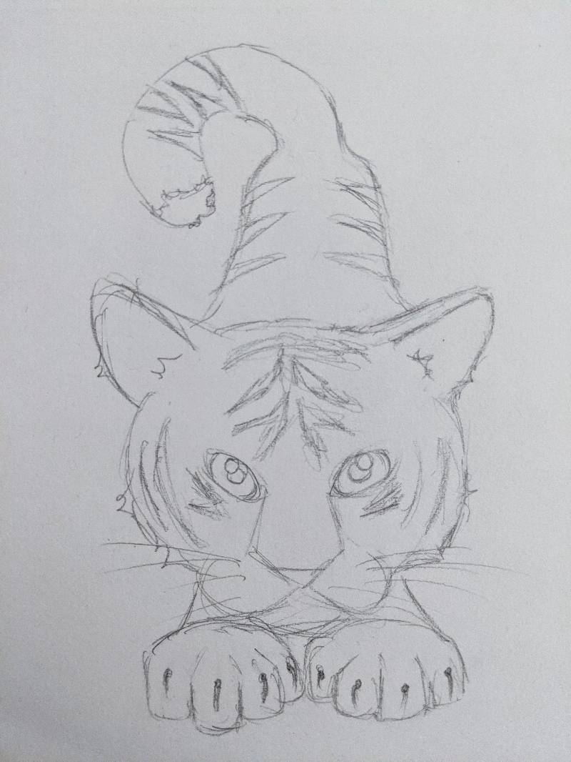 tiger by Babyknows (Pencil)