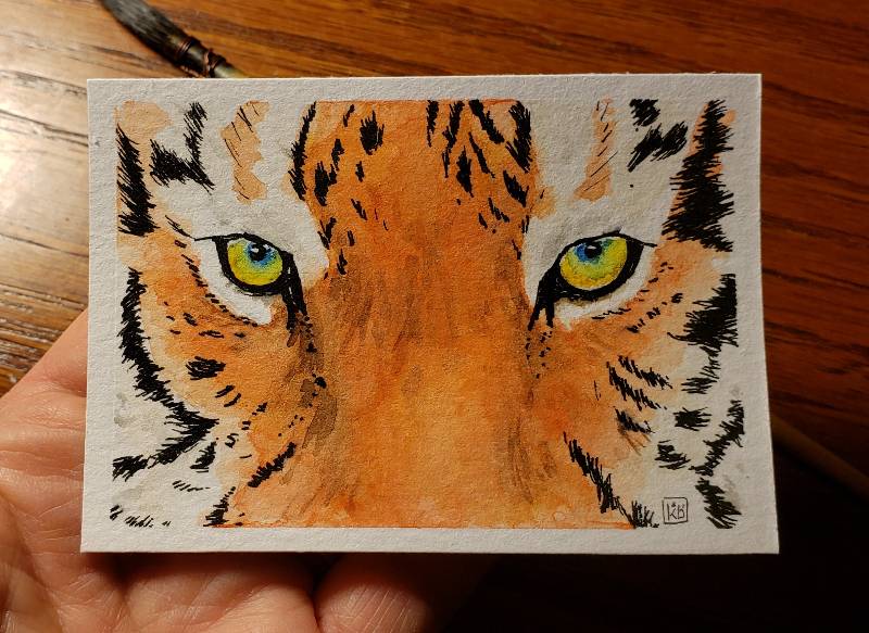 tiger by sp3c14Lk (Watercolor, Ink)