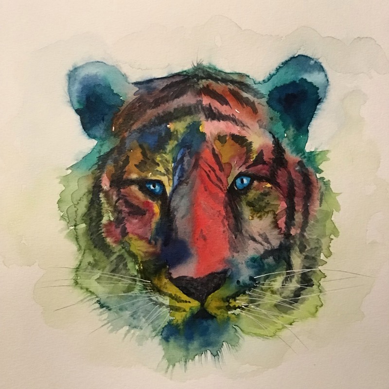 tiger by Sally (Watercolor)