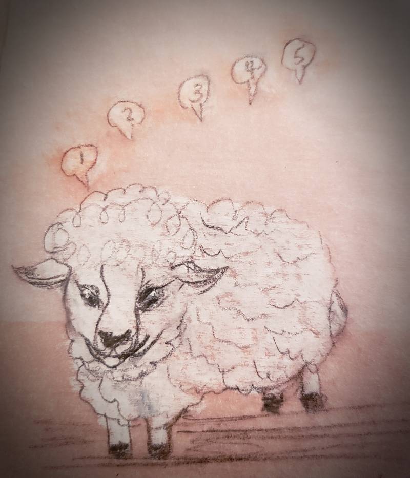 sheep by MBear (Colored pencil, Charcoal, Oil pastel)