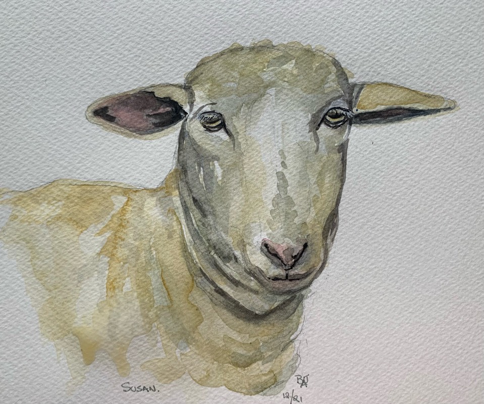sheep by fairlawnbj (Watercolor)
