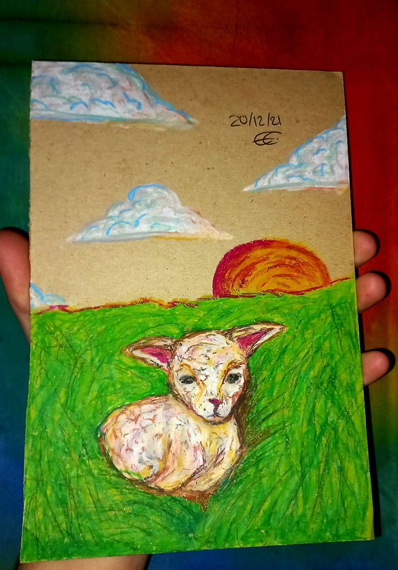 sheep by caii_drws (Oil pastel)