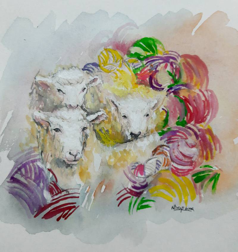 sheep by Niru (Watercolor, Pen)