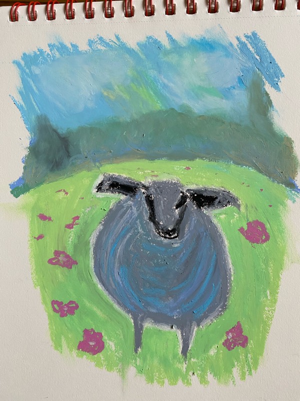 sheep by rhonakesson (Oil pastel)