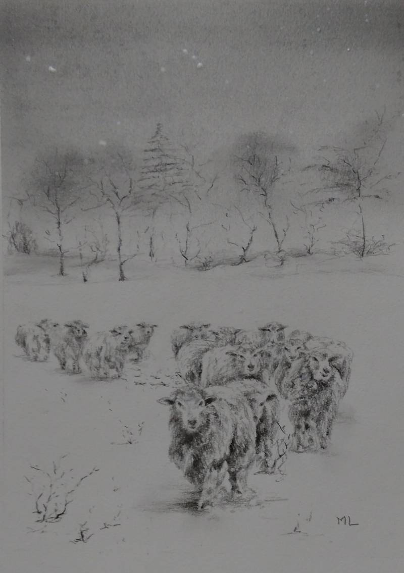 sheep by miclat (Pencil)