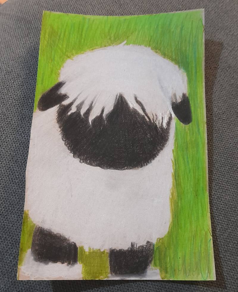 sheep by LearningLoadingStandBy_ (Colored pencil)