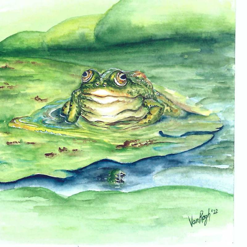 pond by VanRogh (Watercolor, Pen)