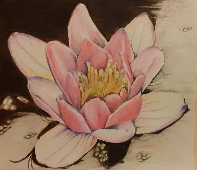 pond by Juliapinksocks (Pencil, Colored pencil)