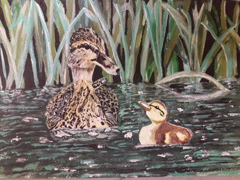 pond by mamaS (Pencil, Watercolor)