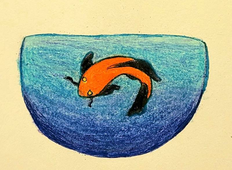 pond by NorthernRam (Pencil, Pen, Soft pastel)