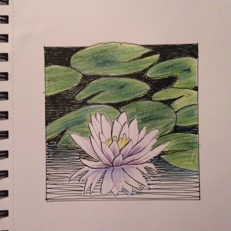 pond by Johnny_ (Pencil, Ink, Colored pencil)